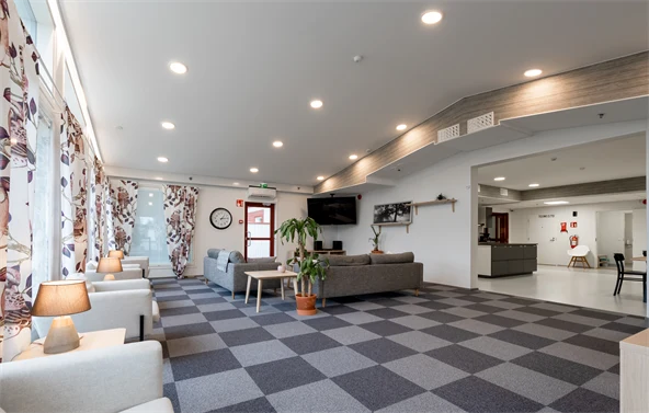 Living room with two grey couch