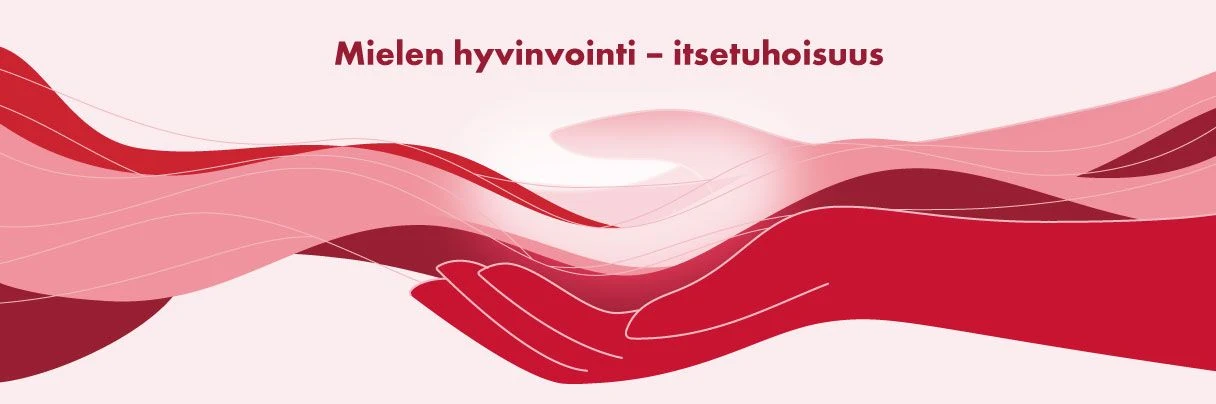 Vaikuttavuusraportti