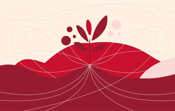 Humanan vaikuttavuusraportti 