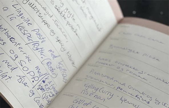 Noen sider i middagsdagboken