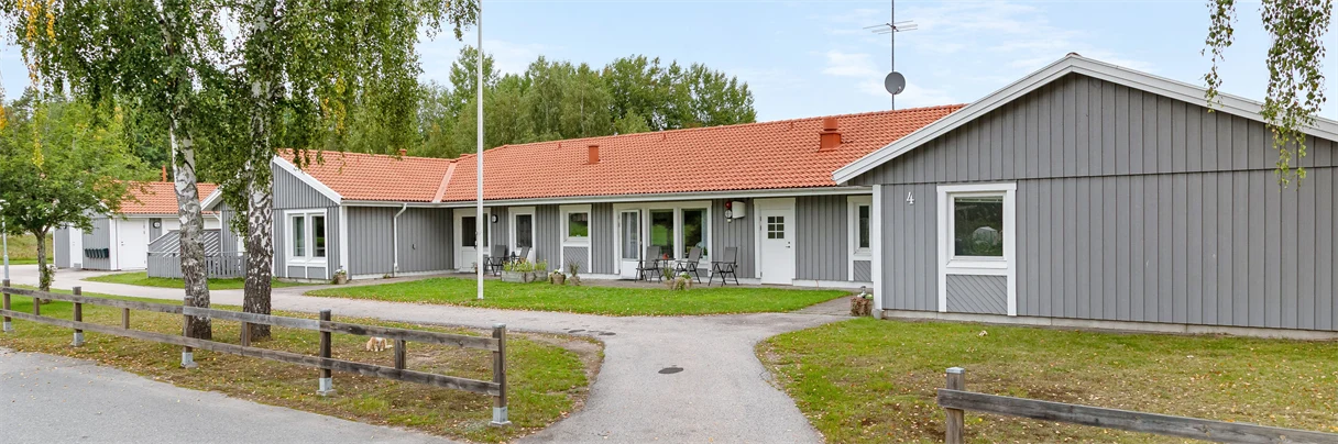 Example image
